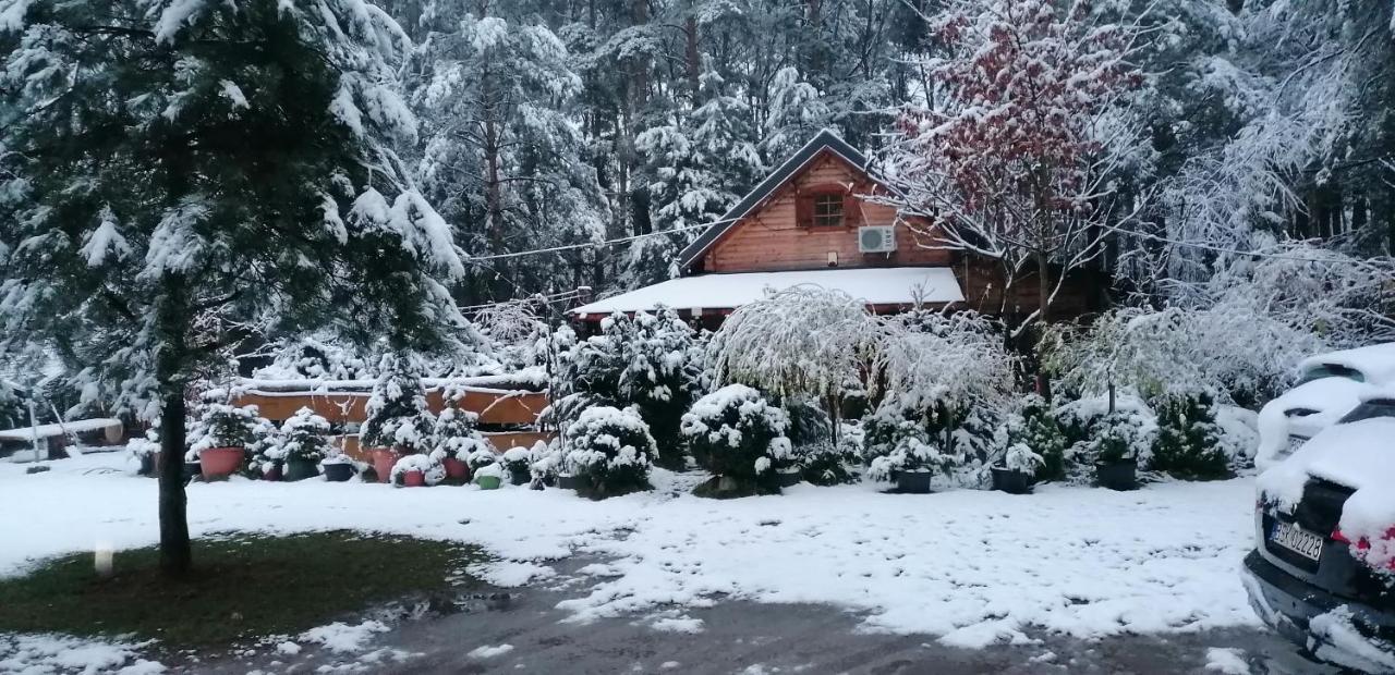 W Ogrodzie Caloroczny 800m Od Parku Wodnego Suntago Ranczo Gold Mania *